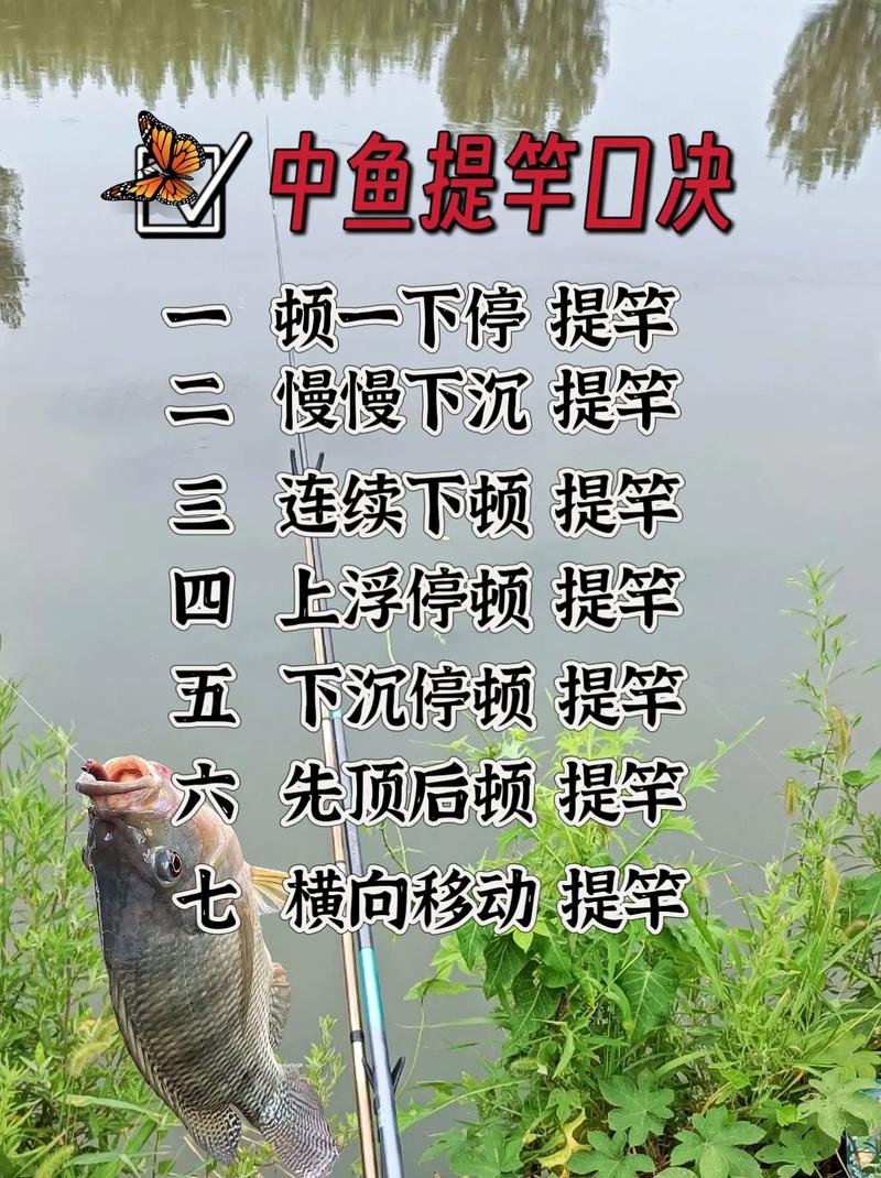 提竿動作要領_垂釣提竿技巧_手竿釣魚技巧問答
