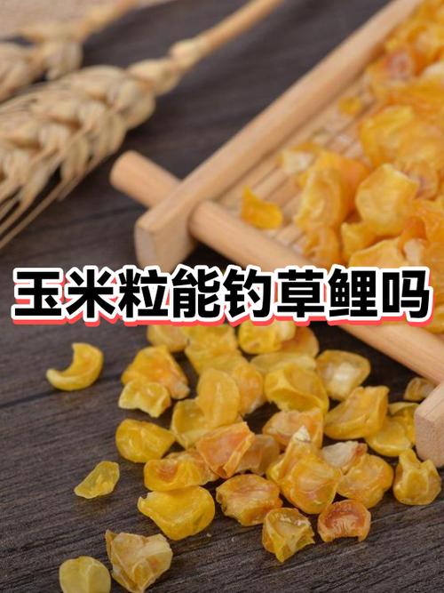 釣魚用什么餌料最好_釣草魚用什么餌料最好使_根據魚種選擇餌料技巧
