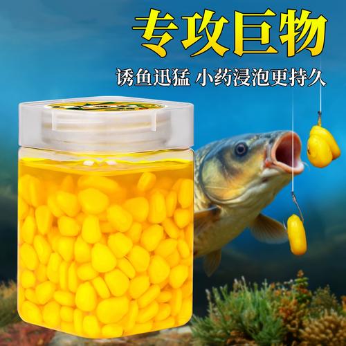 根據魚種選擇餌料技巧_釣草魚用什么餌料最好使_釣魚用什么餌料最好
