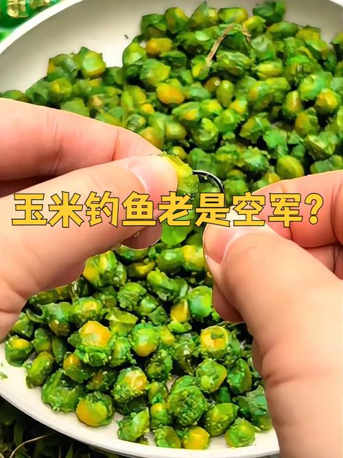 大河釣鯉魚用什么餌_釣鯉魚最佳餌料選擇_釣草魚用什么餌料效果好河里