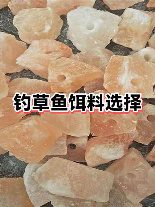 釣草魚用什么餌料好_池塘釣草魚餌料選擇_十一月釣草魚用什么餌料好