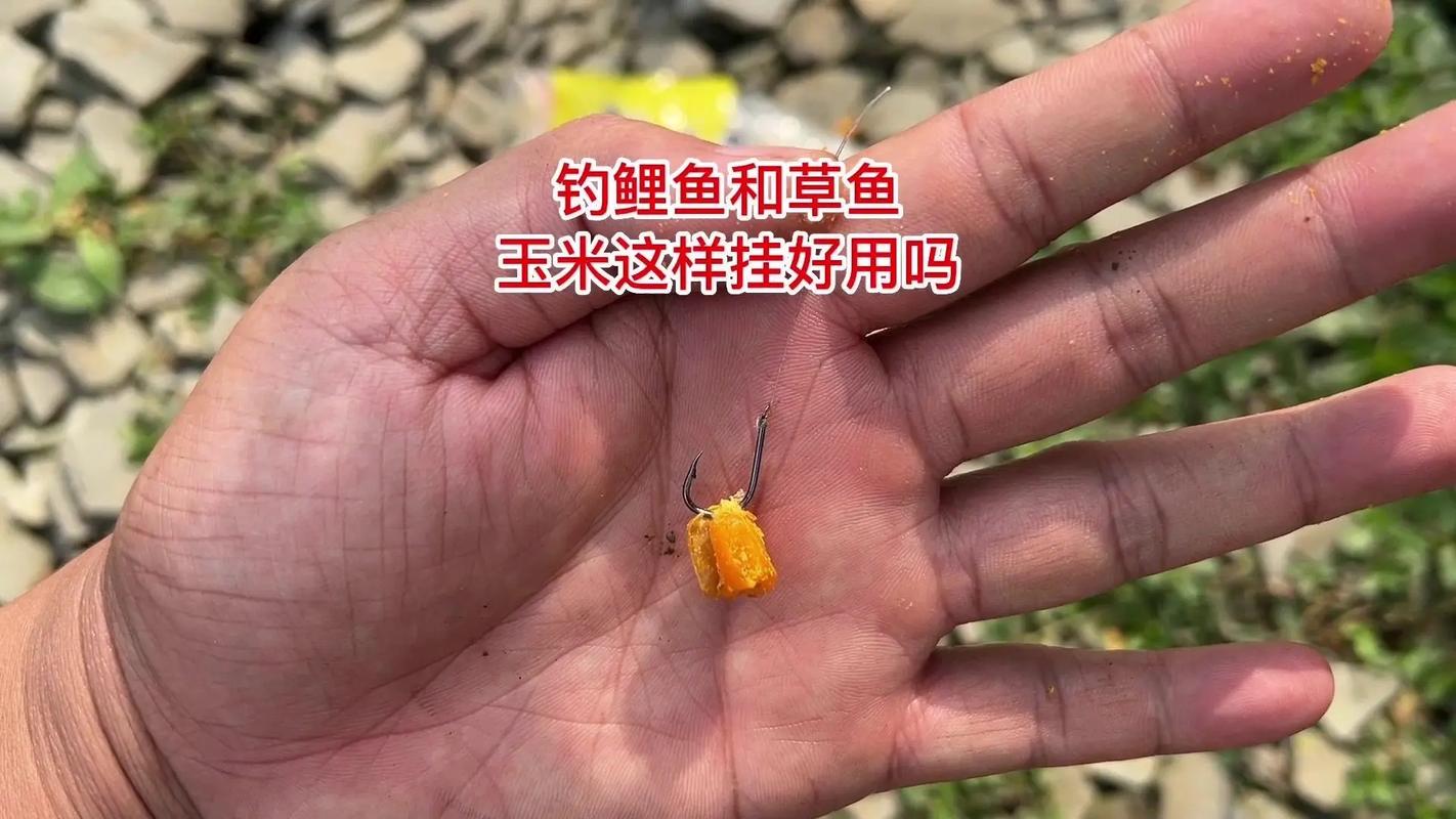 十一月釣草魚用什么餌料好_草魚餌料配方推薦_釣草魚用什么餌料最好