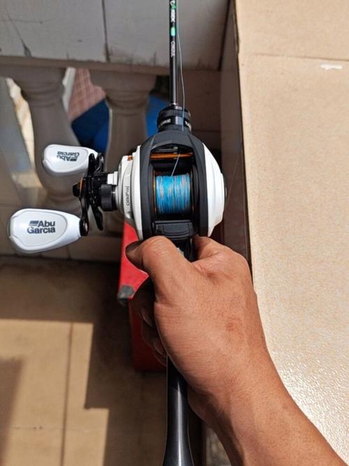 底釣鰱鳙案例分享_底釣鰱鳙技巧詳解_連續7次手竿釣鰱鳙實戰后的心得