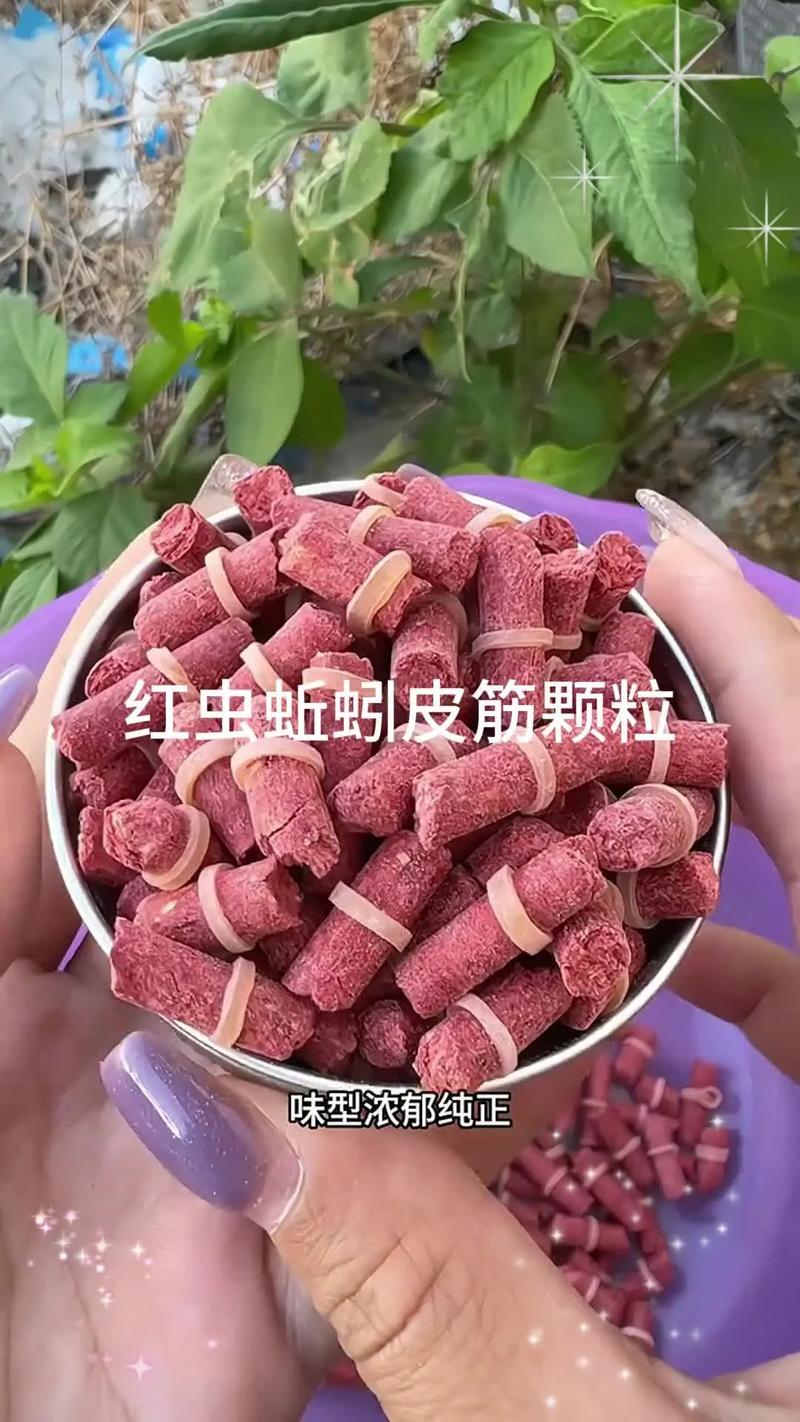 蚯蚓釣魚技巧選擇_蚯蚓蘸餌釣魚方法_【餌料】用蚯蚓釣魚該用什么打窩?