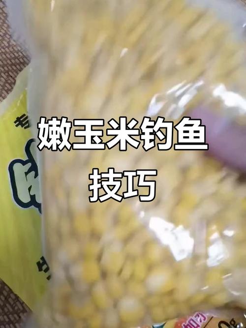 釣草魚商品餌配方_草魚餌料和玉米哪個好_釣草魚玉米餌料