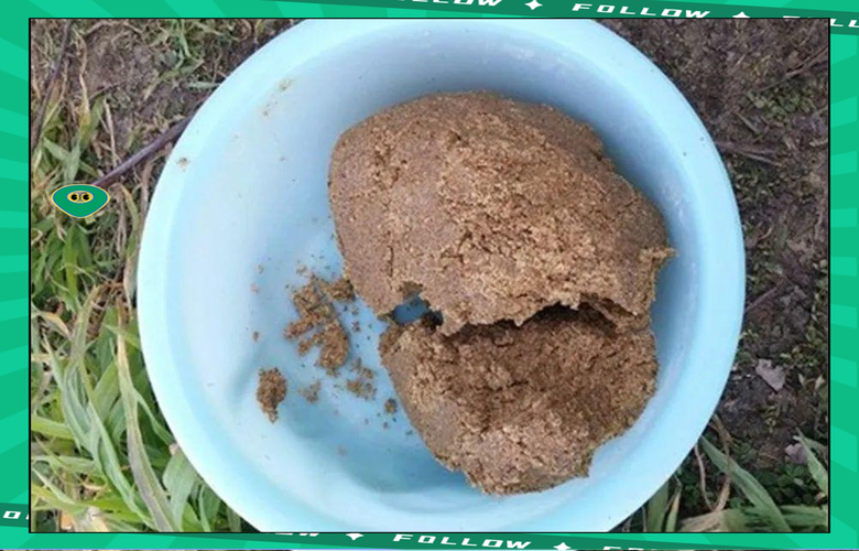 【餌料用法】到底原塘顆粒是啥?_原塘顆粒餌料使用方法_混養塘釣魚用餌技巧