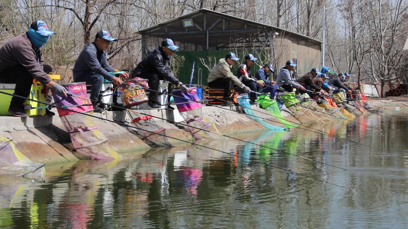 海峽釣魚論壇歷史_海峽釣魚論壇發展歷程_中國釣魚網論壇