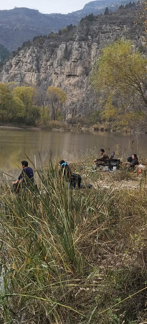 海峽釣魚論壇歷史_海峽釣魚論壇發展歷程_中國釣魚網論壇