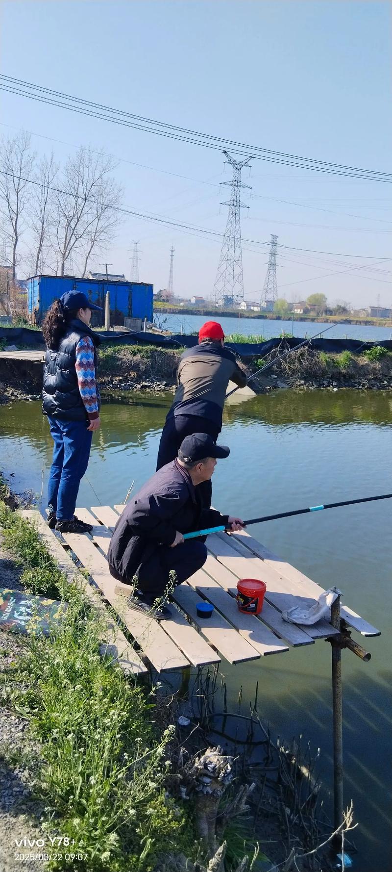 中國釣魚網論壇_海峽釣魚論壇發展歷程_海峽釣魚論壇歷史