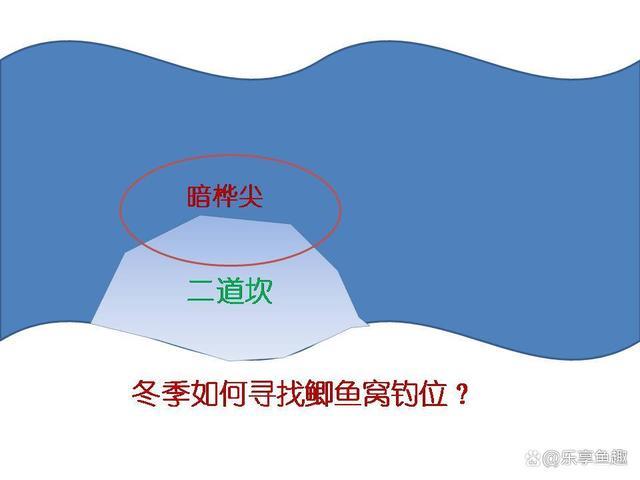 冬季釣鯽魚精準定位魚窩_冬季鯽魚魚窩特點_釣魚窩