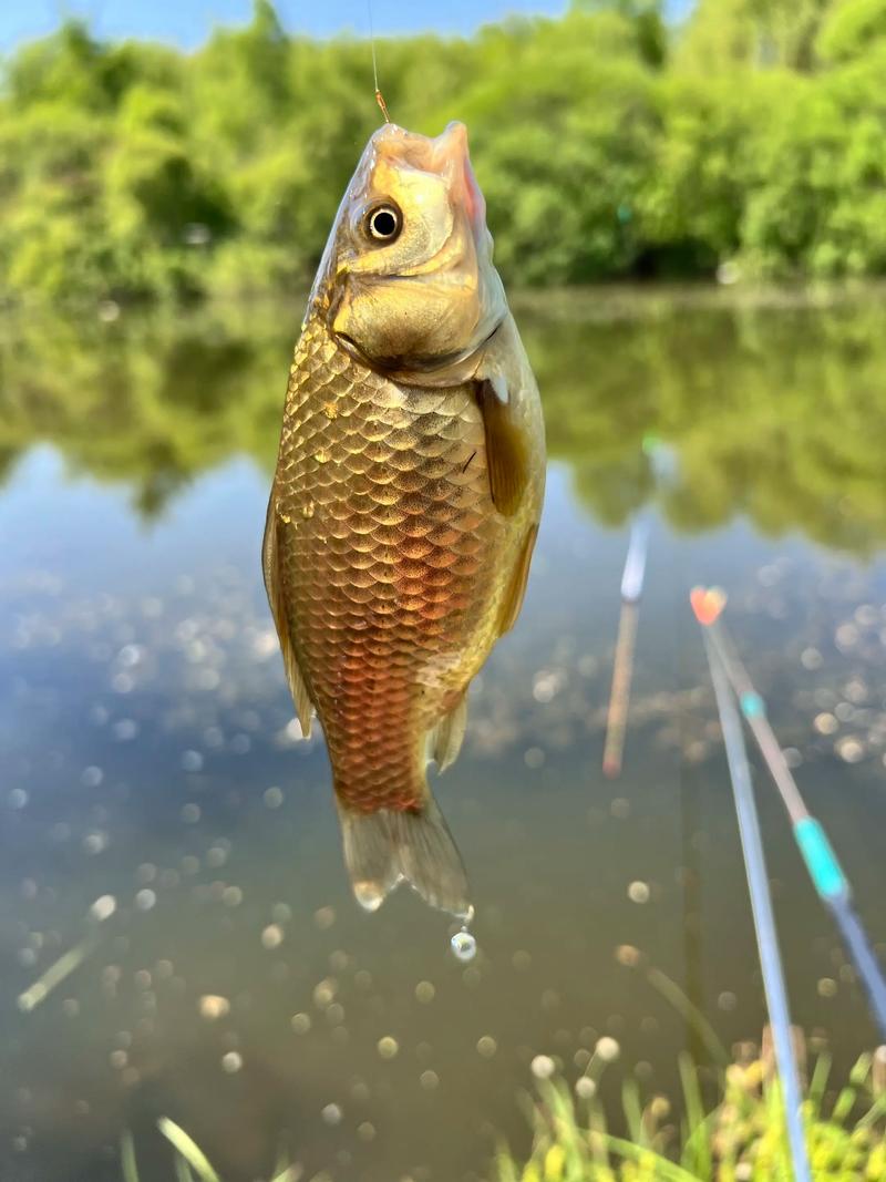濁中找清釣點選擇_渾水釣魚技巧_野河渾水釣魚