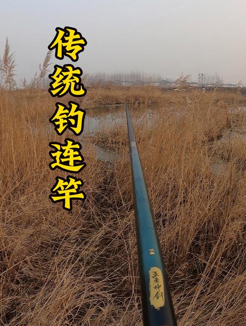 長竿短線釣鯽魚技巧_【轉】傳統釣法之長竿短線釣鯽_長竿短線釣鯽魚方法