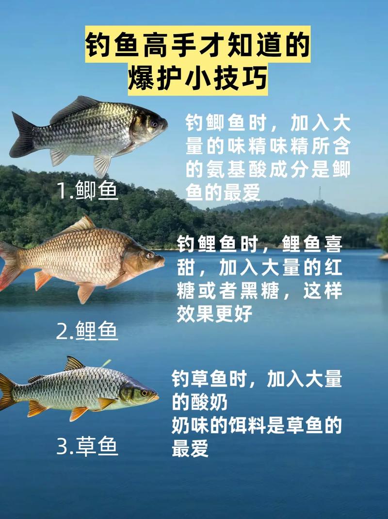 墨跡天氣釣魚指數_釣魚專用天氣預報_墨跡天氣釣魚軟件