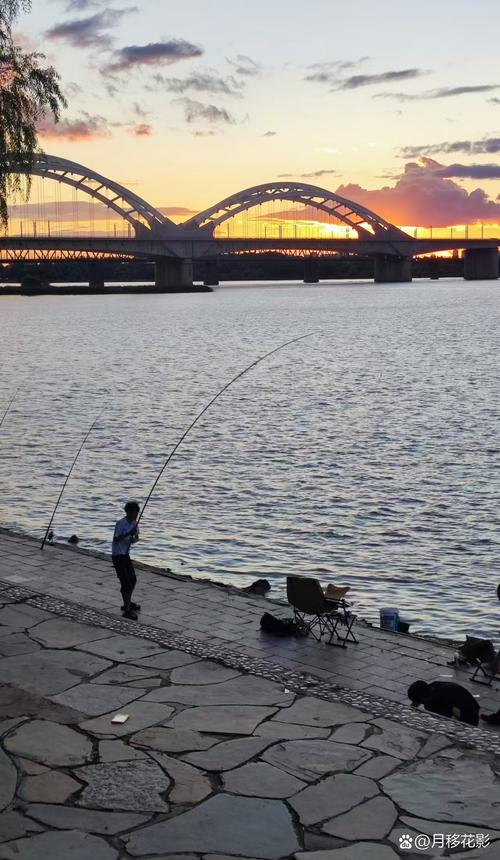 錢塘江濱江釣魚現象_杭州濱江哪里可以野釣_濱江江堤釣魚安全與管理