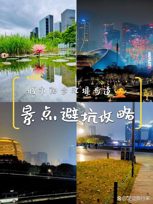 杭州濱江哪里可以野釣_濱江江堤釣魚安全與管理_錢塘江濱江釣魚現象