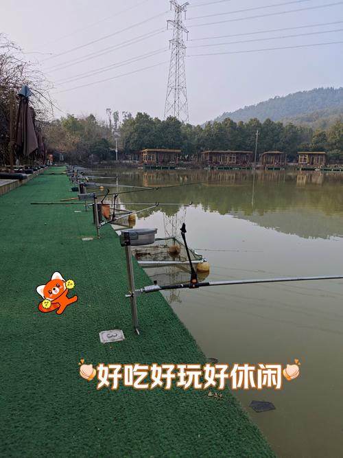 上城區江堤垂釣疏導方案_杭州濱江哪里可以野釣_杭州錢塘江垂釣區試點