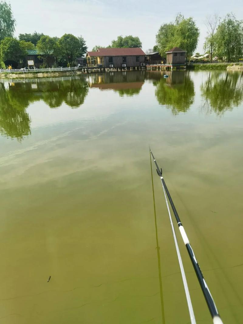 杭州錢塘江垂釣區試點_杭州濱江哪里可以野釣_上城區江堤垂釣疏導方案