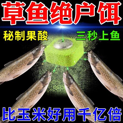 鮮玉米釣草魚技巧_釣草魚餌料推薦_單開草魚餌料推薦