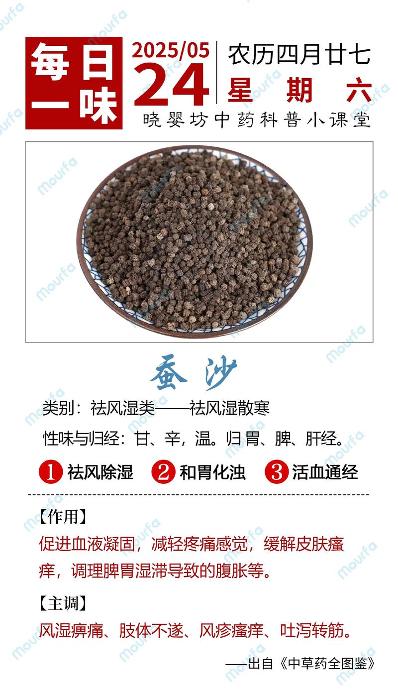 磯沙蠶_沙蠶生物學特征_沙蠶食用指南