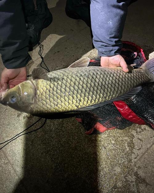 福建南安石壁水庫釣魚_南安水頭鎮石壁水庫夜釣攻略_南安石壁水庫可以釣魚嗎