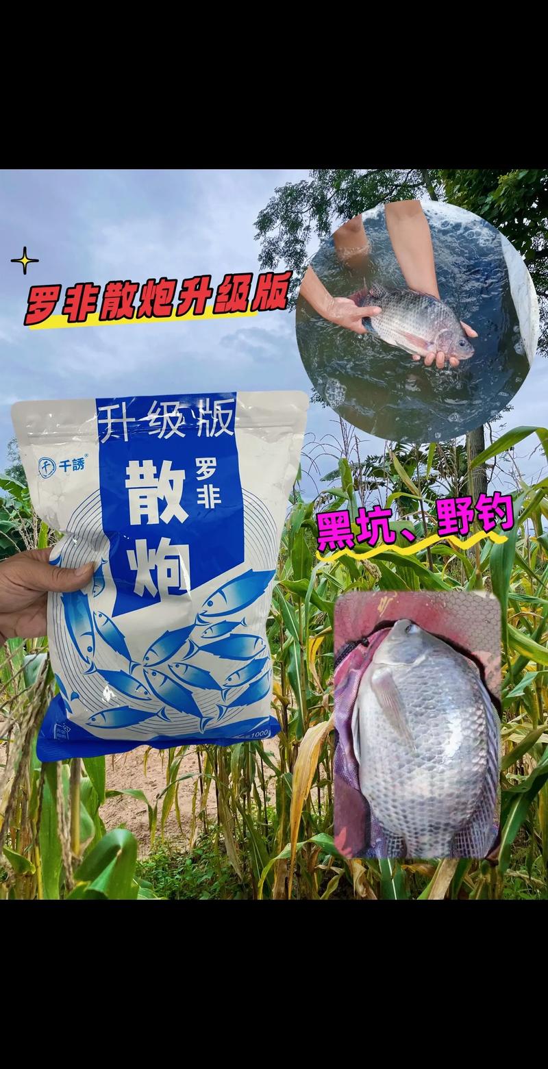 野釣羅非魚凍餌加什么_羅非魚肝味凍餌釣法_釣羅非魚用什么餌