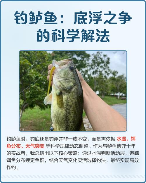 鱸魚生活習性解析與釣鱸魚需注意的事項必看_海鱸魚養殖技術_海鱸魚釣鱸工具