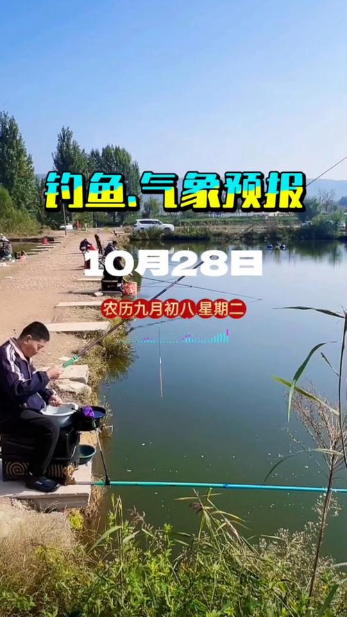 西安釣魚網放魚信息_西安釣魚論壇網_西安釣魚網站放魚信息