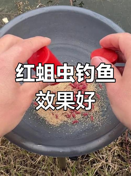 冬釣鯽魚紅蟲餌料_冬季釣鯽魚餌料選擇_秋冬釣草魚用什么餌料