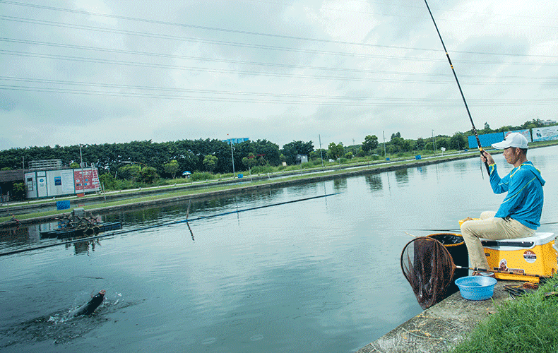 西釣網魚訊放魚信息_西釣網放魚信息_西釣網最新放魚信息