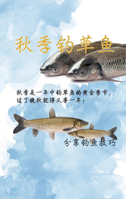 水溫對秋季魚情影響_秋季釣魚節氣變化規律_秋季野釣技巧全攻略