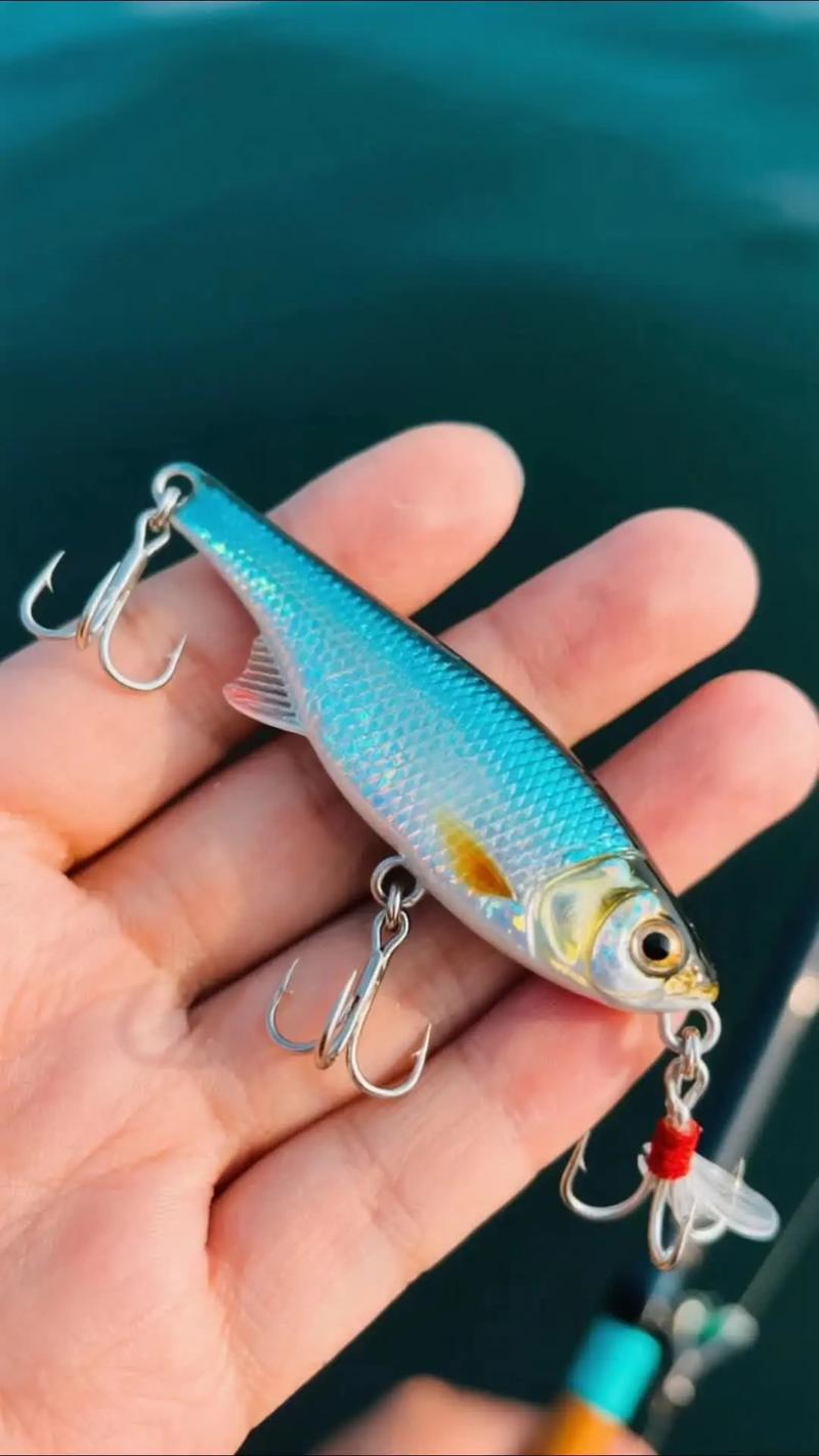 路亞釣草魚用什么餌效果最好_青魚路亞釣法_青魚路亞技巧