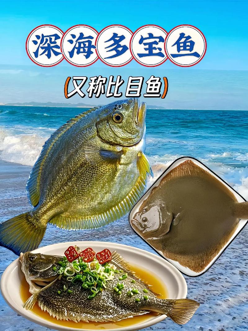 大菱鲆_大菱鲆_大菱鲆