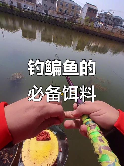高溫天氣水庫釣鯉魚餌料調整_水庫搓餌釣魚技巧_水庫釣鯉魚餌料技巧