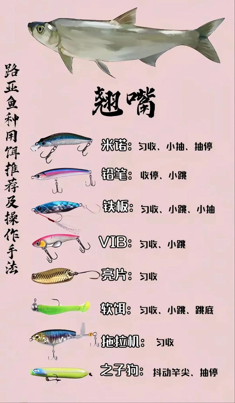 擬餌釣技巧_路亞釣法_路亞釣草魚用什么餌最好用