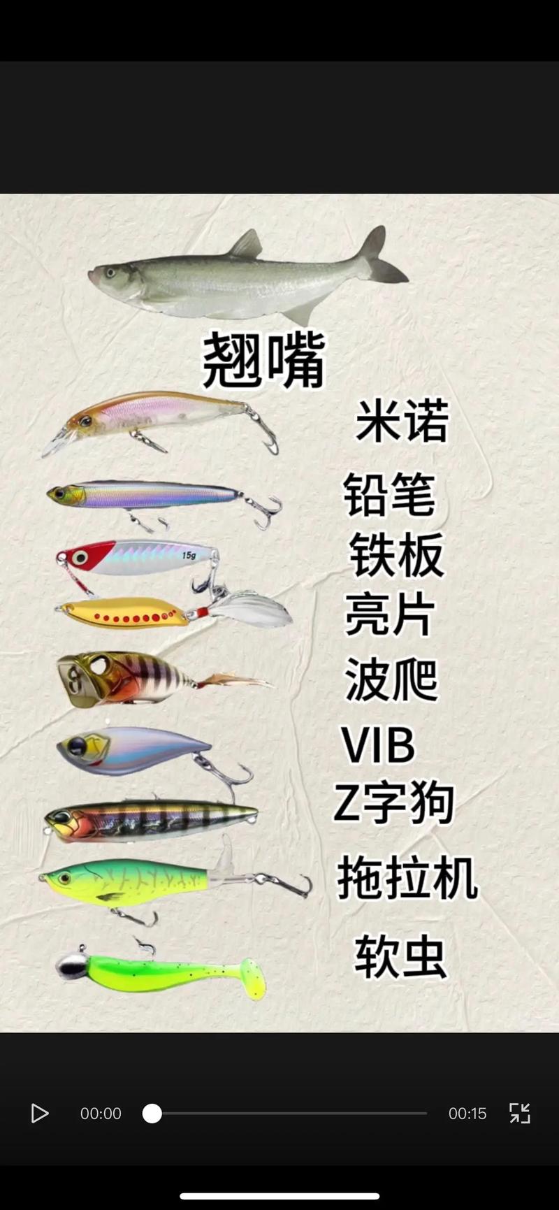 路亞釣法_馬口魚季節釣點選擇_路亞釣草魚用什么餌最好用