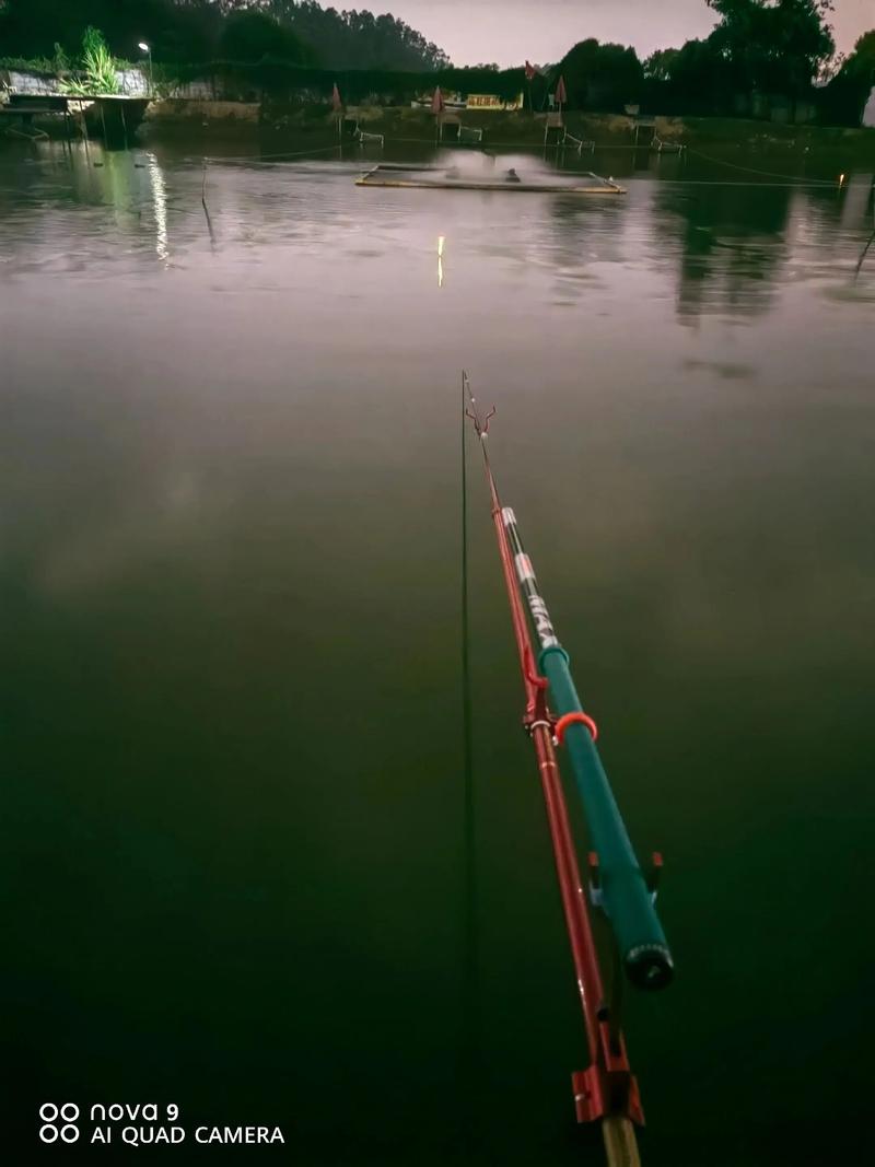 黑坑青魚季節轉換期作釣技巧_春末夏初黑坑青魚難釣_黑坑釣青魚不開口怎么釣