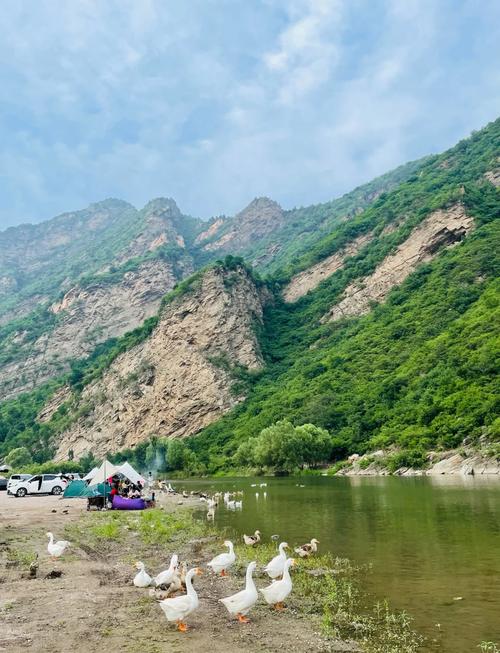 白河灣生態藝術營地釣魚攻略_北京周邊野釣最佳地點_北京周邊野釣地點
