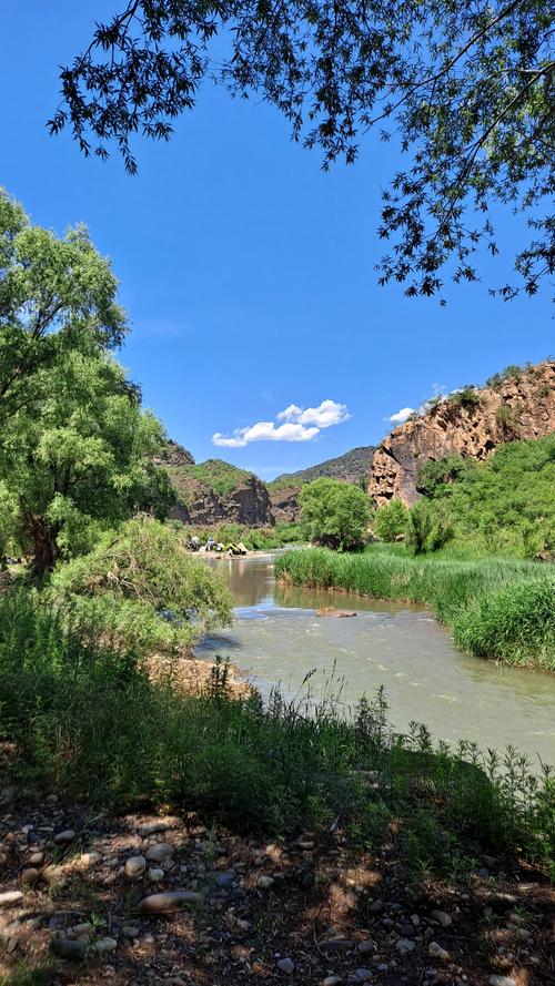 北京周邊野釣最佳地點_北京周邊野釣地點_白河灣生態藝術營地釣魚攻略