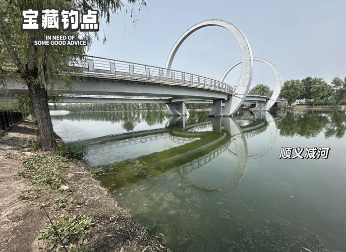 北京周邊野釣最佳地點_北京新手釣魚攻略_延慶野鴨湖垂釣體驗