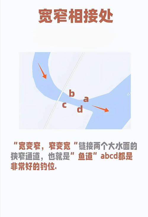 冬季釣鯉魚技巧_深淺水域交換試釣冬季釣魚_冬季釣魚釣位選擇技巧