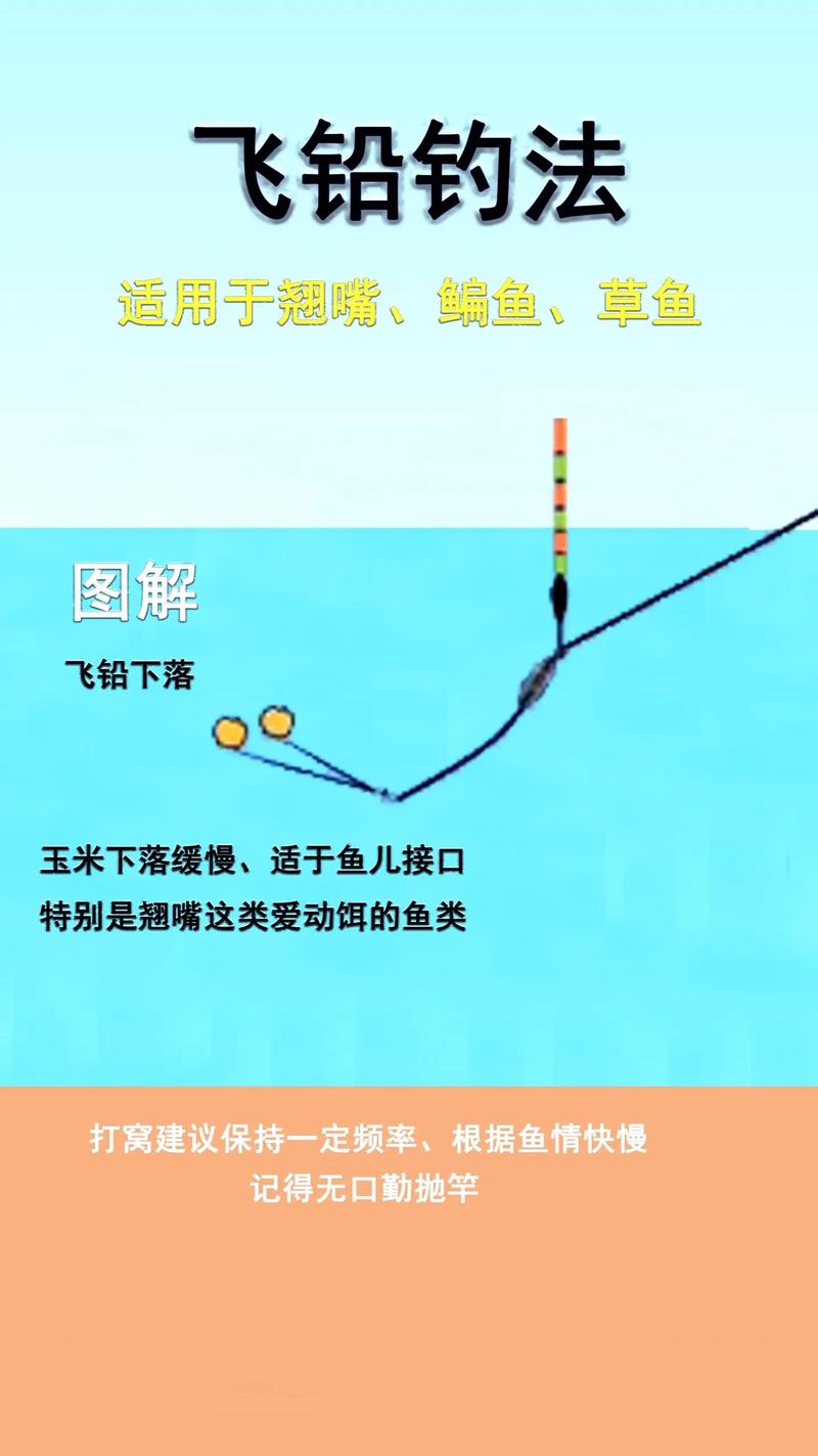 黑坑草魚釣法_釣行程釣法黑坑草魚_黑坑釣草魚用什么餌料調漂效果好