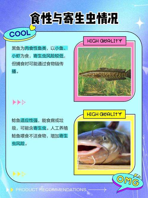 黑魚臟還是鯰魚臟_黑魚和鯰魚哪個臟_黑魚與鯰魚的區別