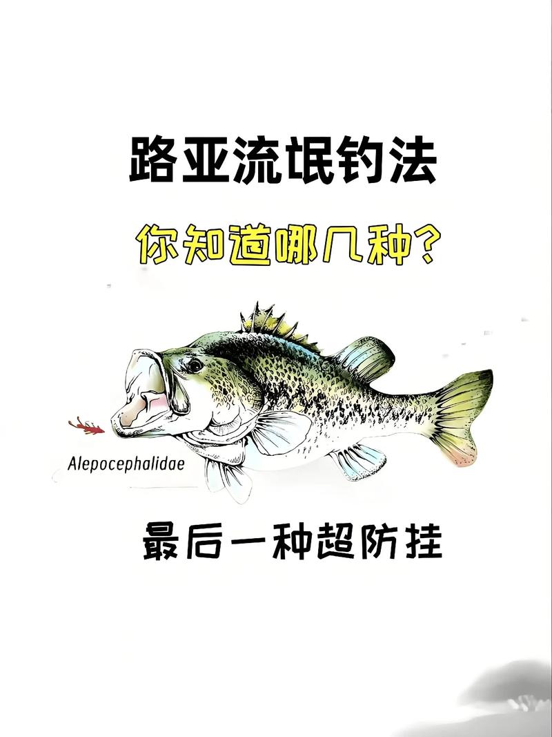 釣魚技巧_釣魚大師級別_路亞釣法入門必備的十個技巧必看