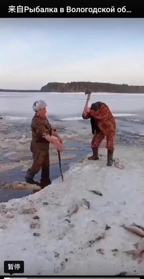 冬天釣魚室內垂釣_冬季釣魚視頻_冬天釣魚技巧研究