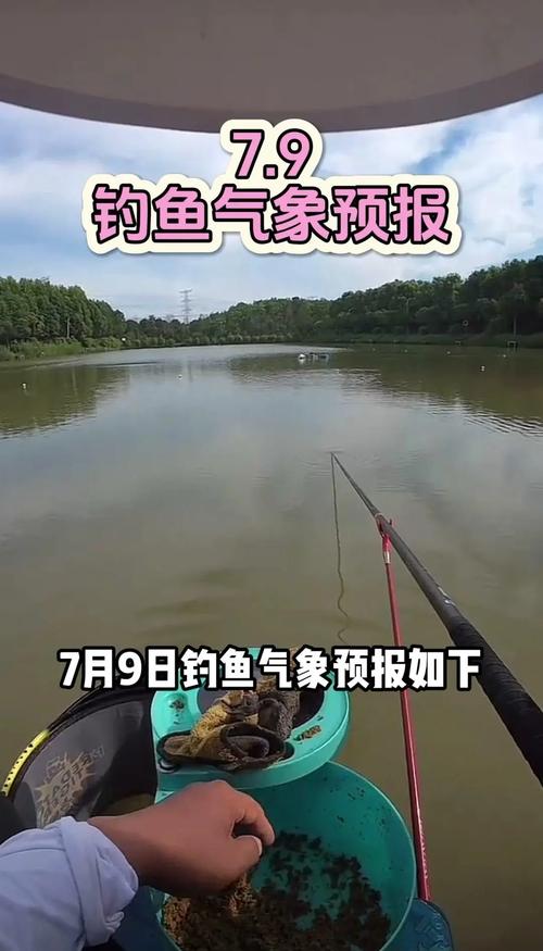 釣位選擇攻略_夏季釣魚技巧_夏季釣魚視頻