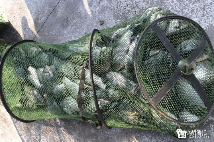 釣位選擇攻略_夏季釣魚技巧_夏季釣魚視頻