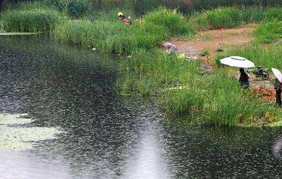 釣位選擇攻略_夏季釣魚技巧_夏季釣魚視頻