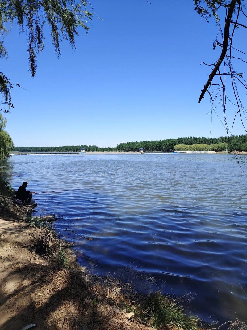 順義潮白河釣魚地點_北京北運河釣魚水質改善_北京護城河釣魚地點