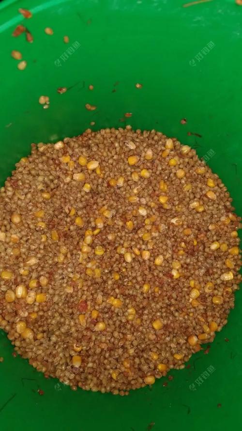 玉米窩料制作技巧_簡單釣魚窩料_自制窩料制作方法