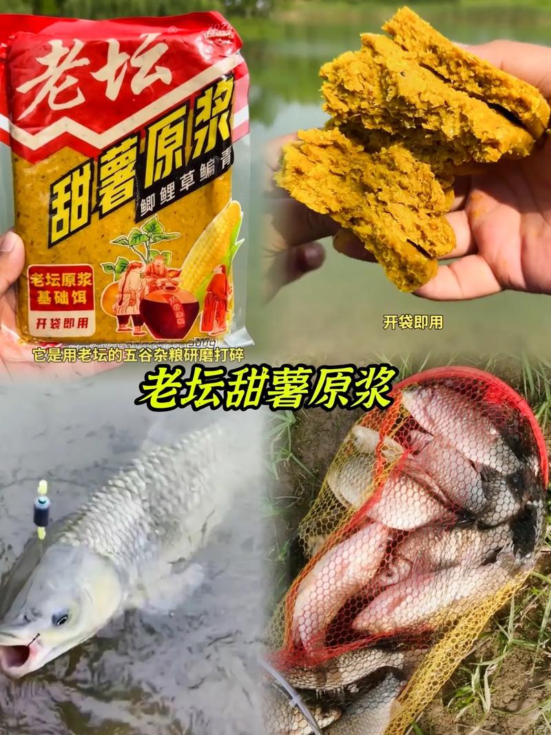釣草魚最佳水溫_秋季釣草魚用什么餌料最好_鮮玉米搓餌釣草魚